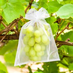 Bolsas de organza 26 x 35 cm - fucsia Protección de uva