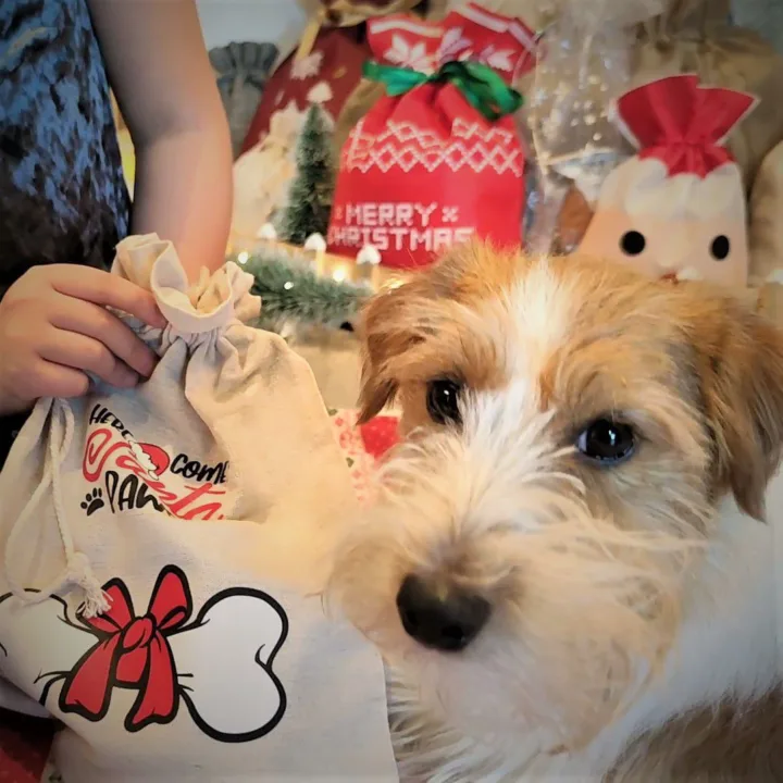 Bolsa estilo lino 30 x 40 cm con la impresión Bolsas con impresion