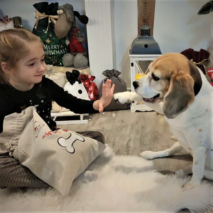 Bolsa estilo lino 35 x 50 cm con la impresión @@ Bolsas con impresion