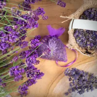 Bolsas de organza 7 x 9 cm - violeta oscuro con impresión lavanda Bolsas para lavanda