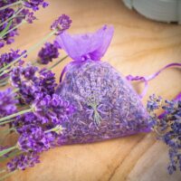 Bolsas de organza 7 x 9 cm - violeta oscuro con impresión lavanda Lavanda