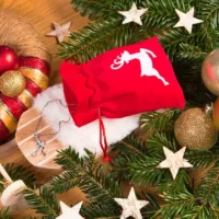 bolsas de terciopelo 10 x 13: ciervo blanco Navidad