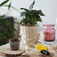 Bolsitas estilo lino 15 x 20 cm - natural Lifehack: ideas inteligentes