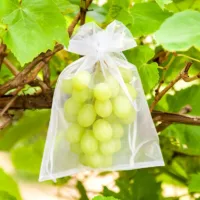 Bolsas de organza 30 x 40 cm - mix de colores Kits