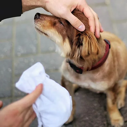 Guardar golosinas para su mascota
