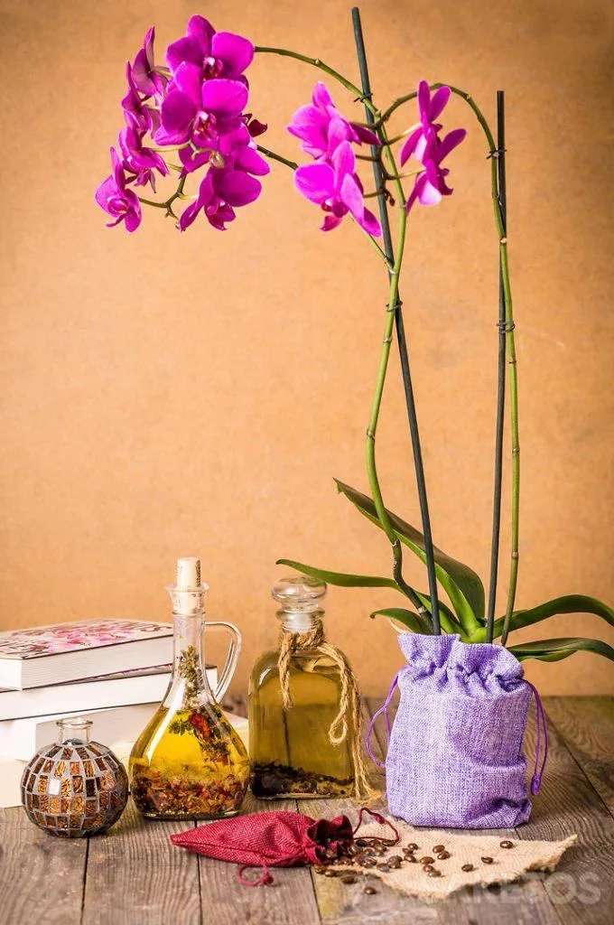 Orquídea empacada en una bolsa decorativa de yute