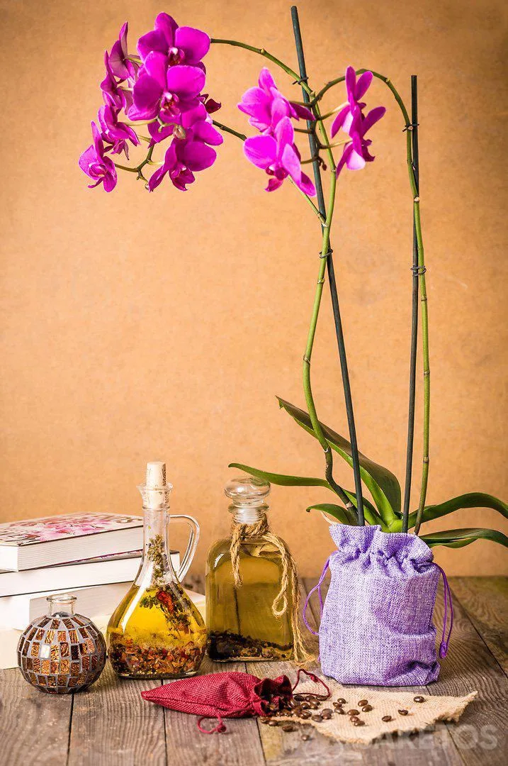 Decoraciones de macetas con bolsas