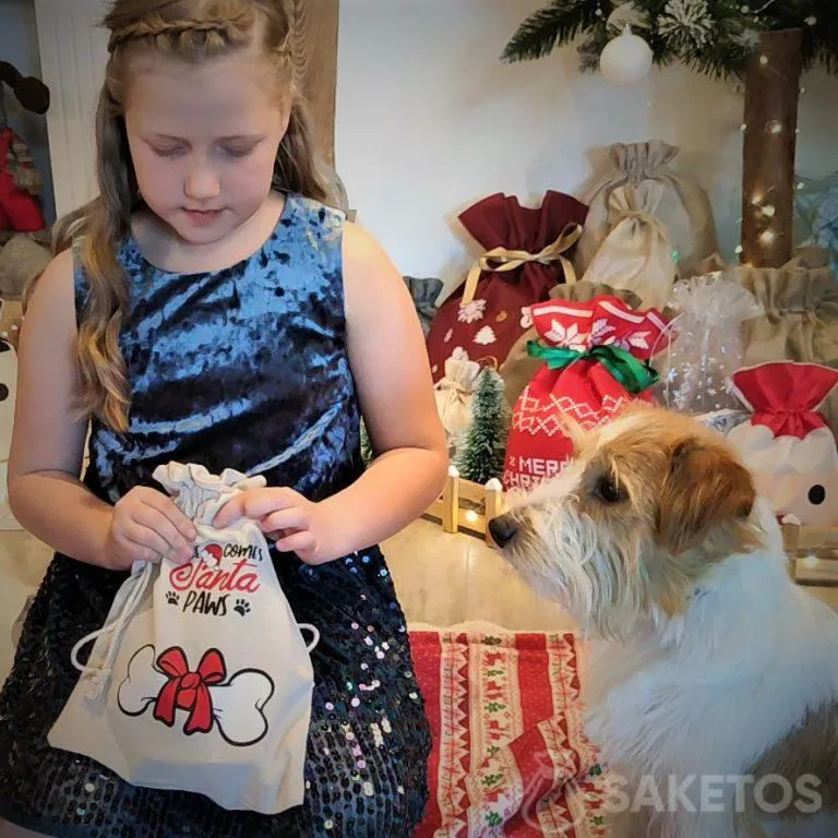 caja regalo para su mascota