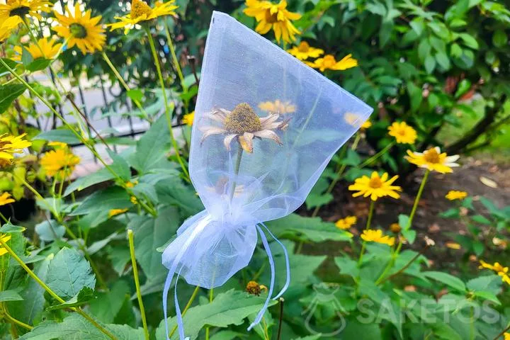 ¿Cómo guardar las semillas? Descubra las bolsas de organza para recoger y guardar semillas