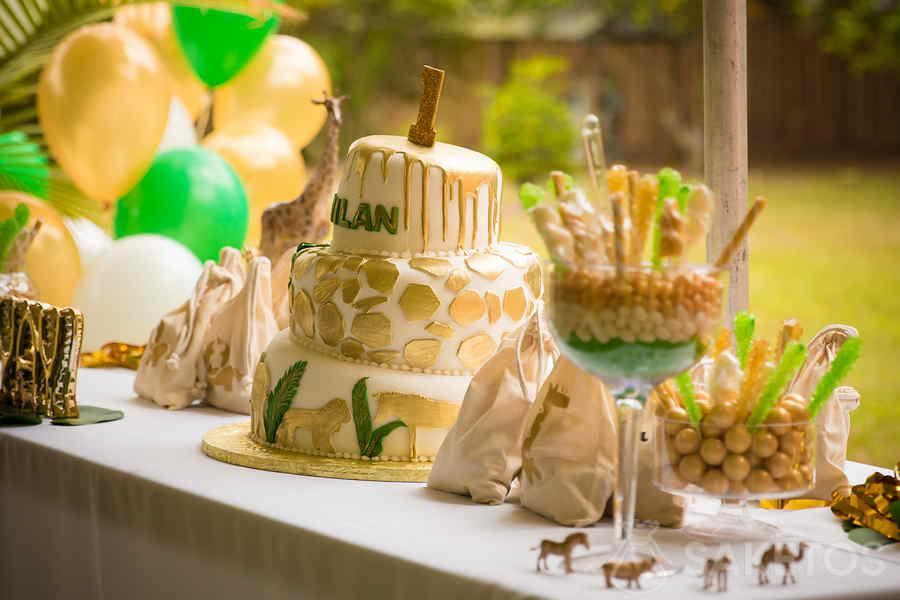 Primer cumpleaños - un año de edad con un tema de la selva