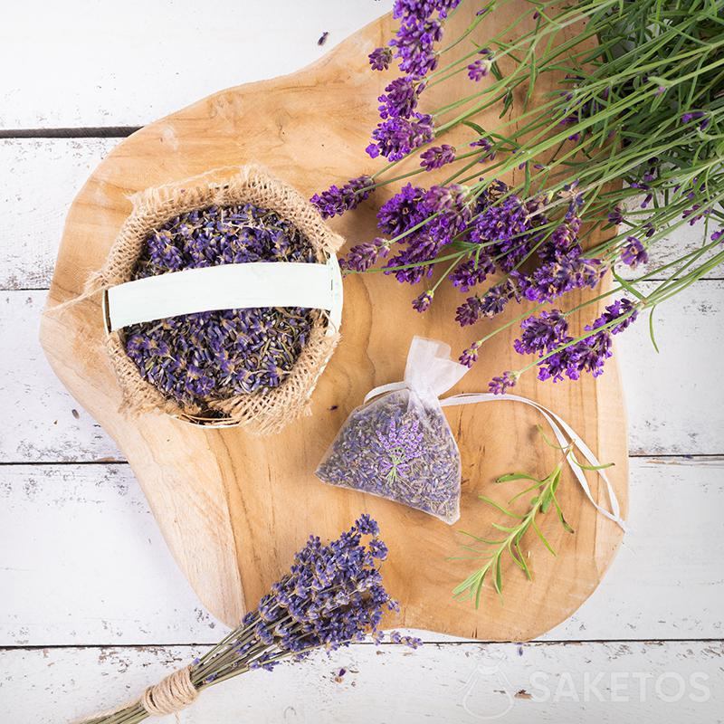 ¡Te aconsejamos cómo secar la lavanda en bolsas de organza!