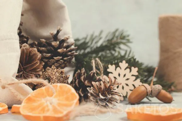 Regalos de la naturaleza como adornos navideños