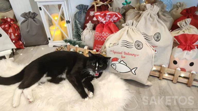 envases de regalo para perros y gatos