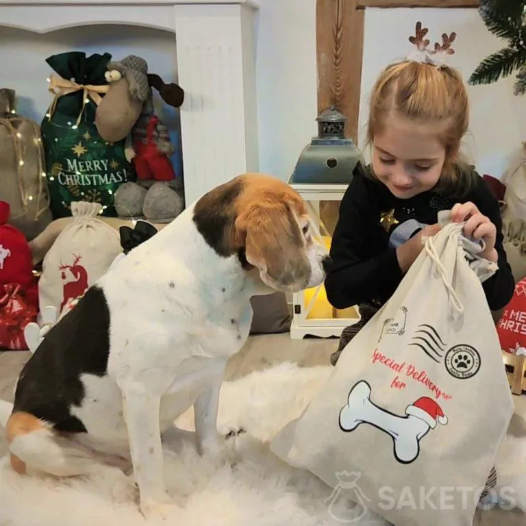 caja regalo para su mascota