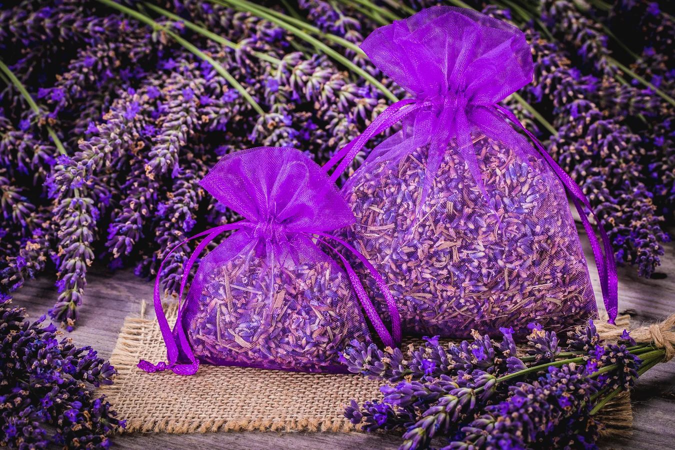 Saquitos de tela para lavanda seca de organza – ejemplo de empaque atractivo y decorativo